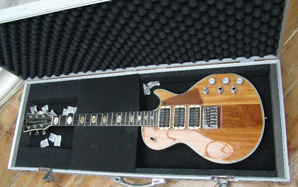 Guitar